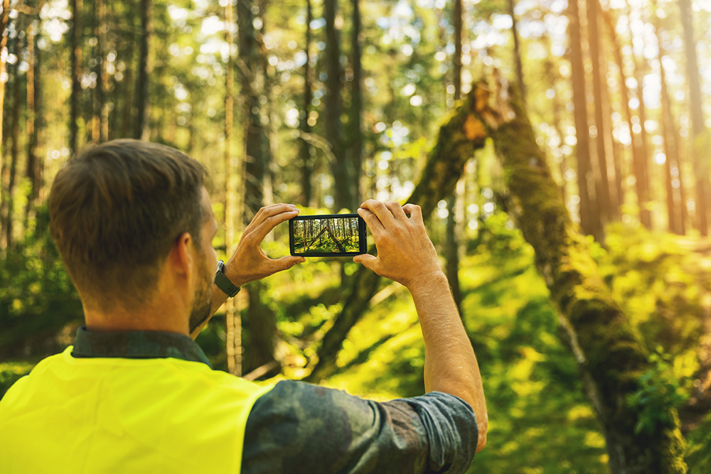 Ein Mann macht ein Foto von einem Wald.